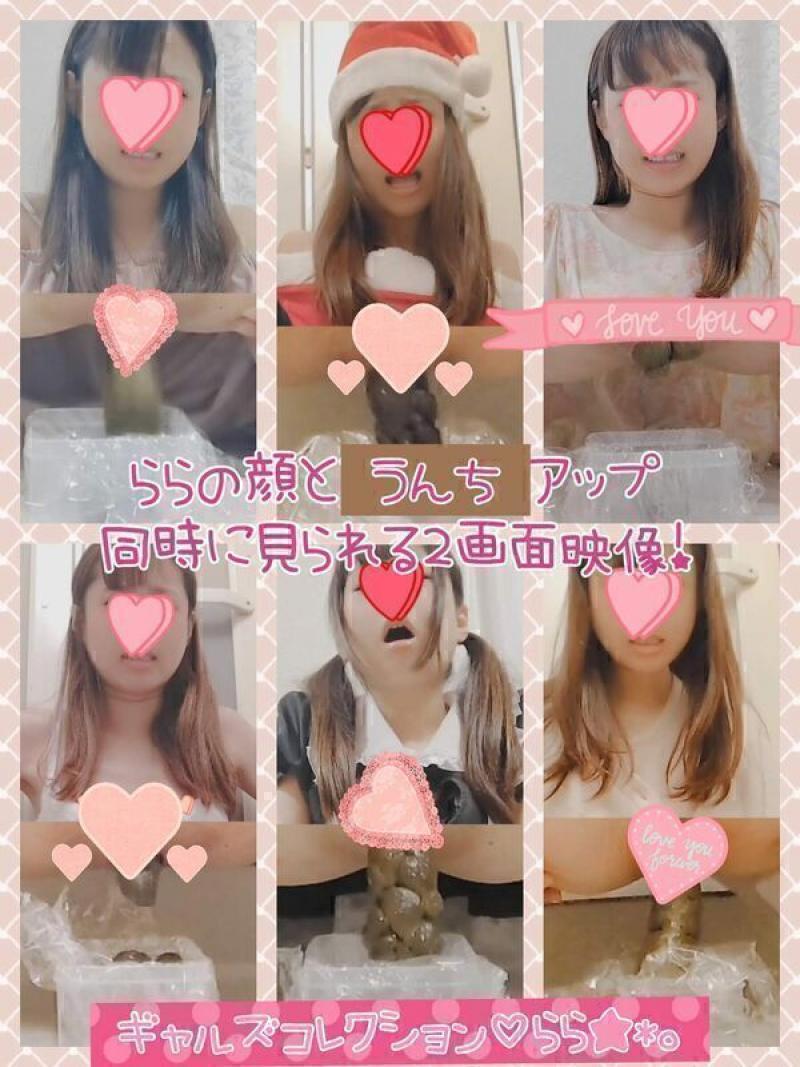 出品者名-写真-1